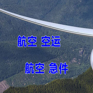 大理凤仪机场快运快递-选东方航空和上海航空