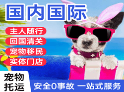 大理凤仪机场快运国际宠物托运 【国
